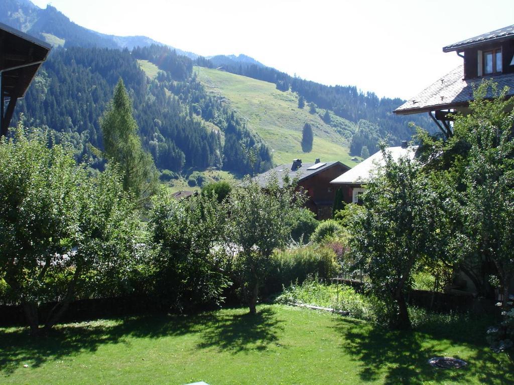 La Ferme Du Chateau Abondance Dış mekan fotoğraf